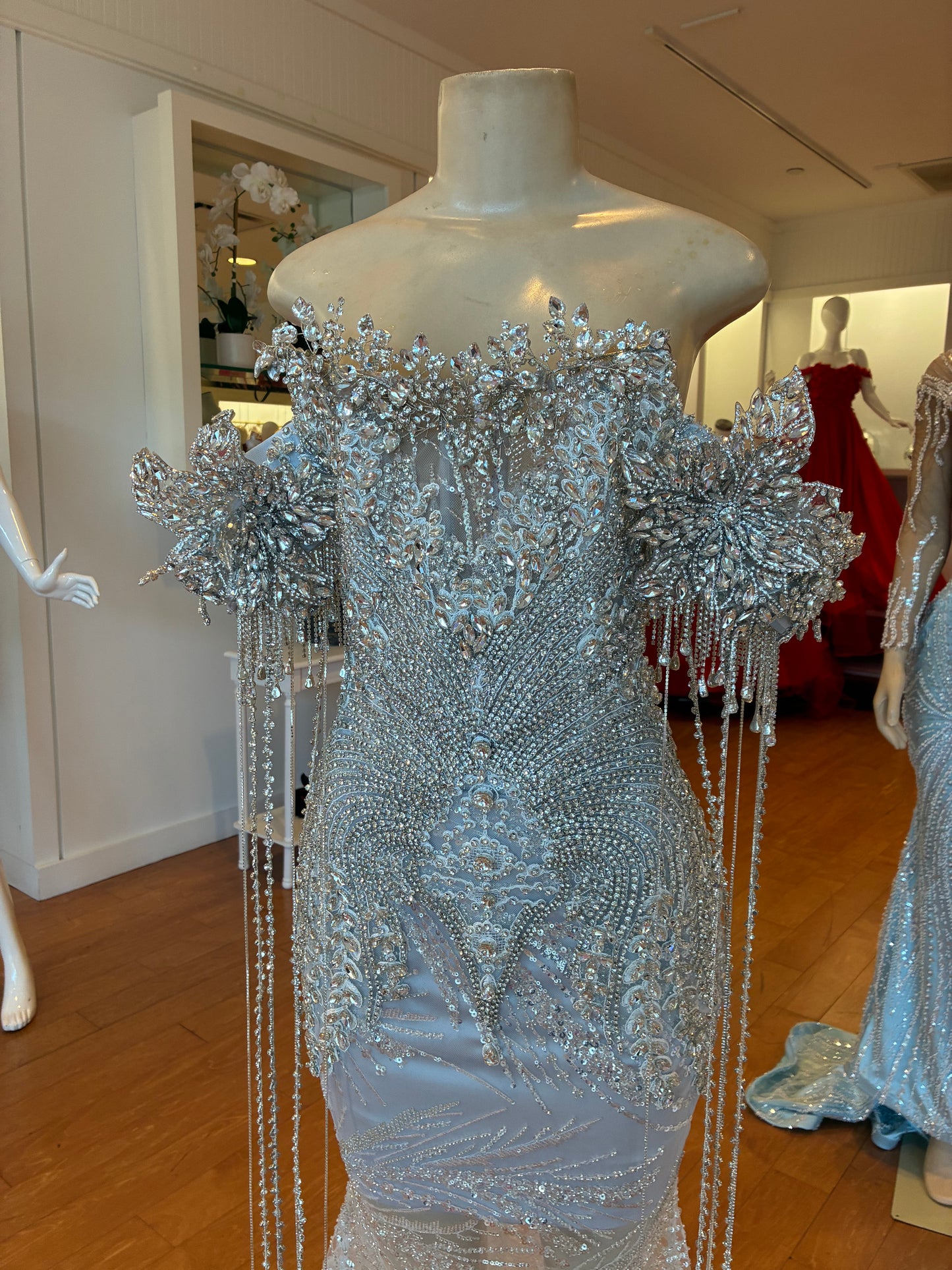Midnight luxury gown