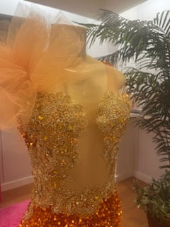 Ready to ship- Tatiana Gown
