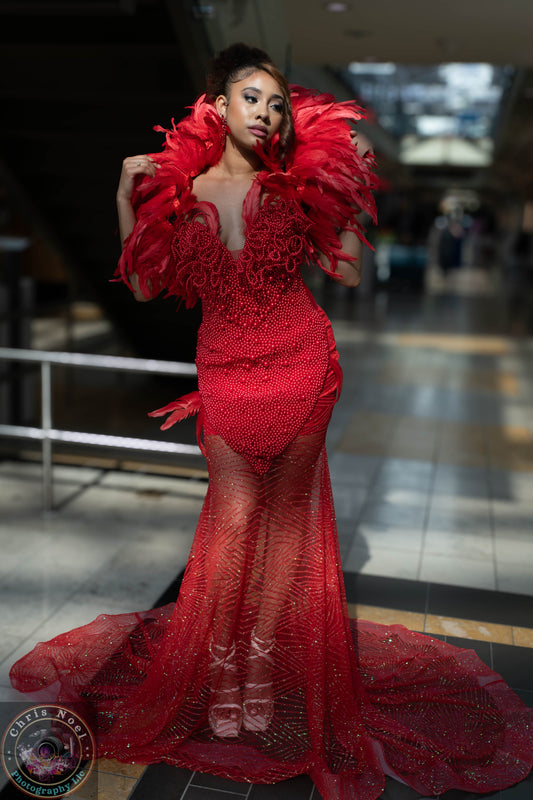 Wild Fire Gown