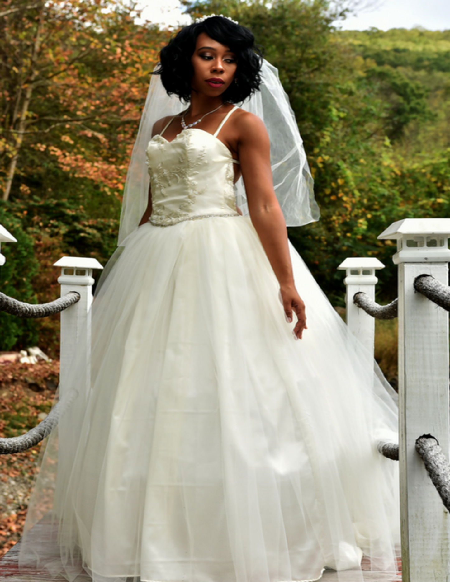 Modern day Sweetheart Ballgown Wedding Dress